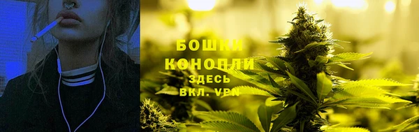 ГАЛЛЮЦИНОГЕННЫЕ ГРИБЫ Балабаново