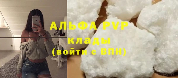сатива Баксан