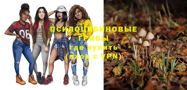 ГАЛЛЮЦИНОГЕННЫЕ ГРИБЫ Балабаново
