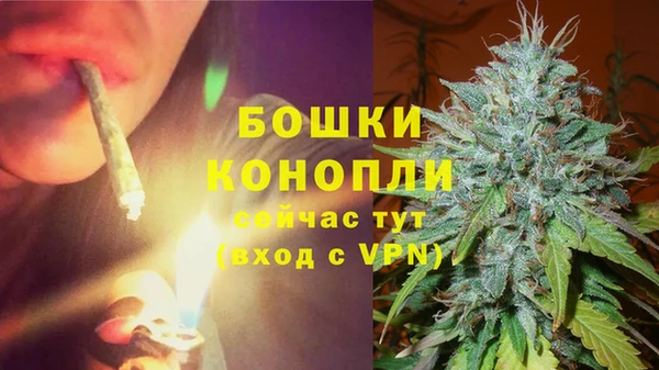 сатива Баксан