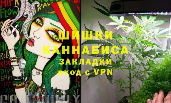сатива Баксан