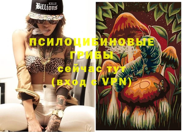ГАЛЛЮЦИНОГЕННЫЕ ГРИБЫ Балабаново
