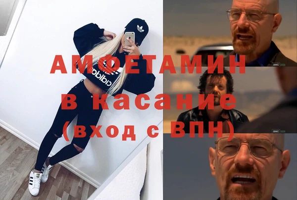 сатива Баксан