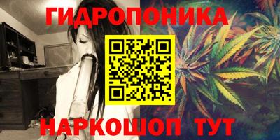 тгк Новокубанск