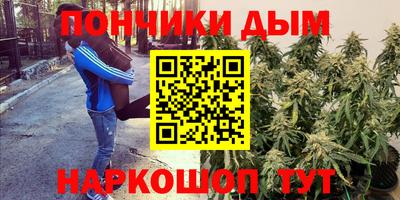 ECSTASY Новодвинск