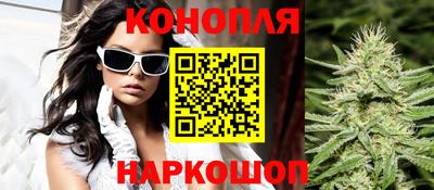 сатива Нальчик