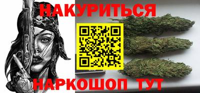 сатива Нальчик