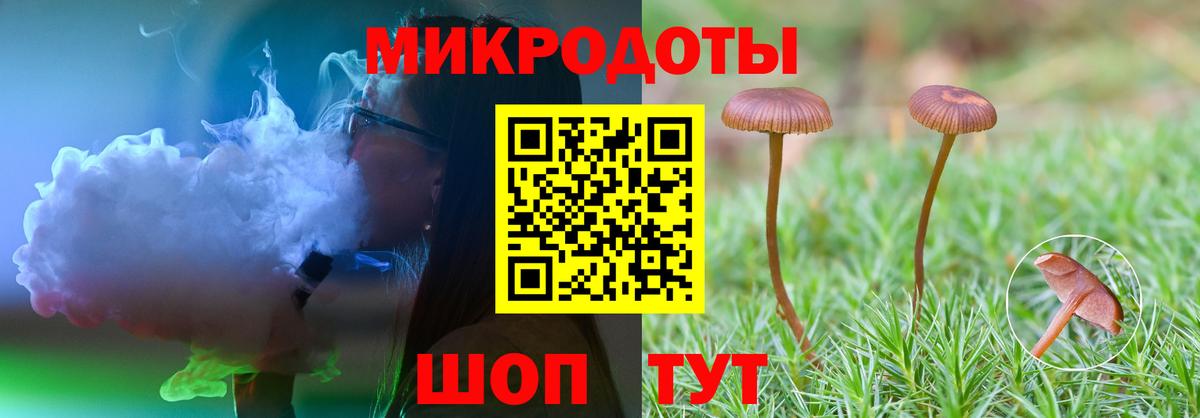 Галлюциногенные грибы Psilocybine cubensis Заречный
