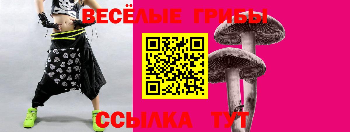 Заречный  Галлюциногенные грибы мицелий  Вход с VPN 